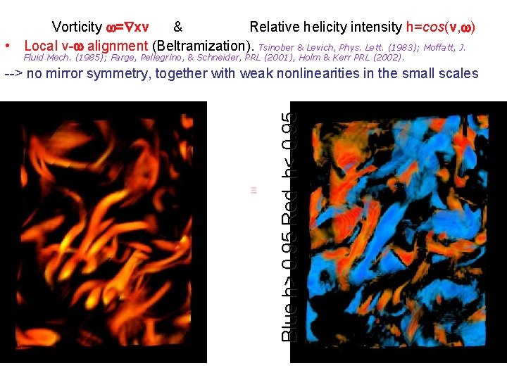 Vorticity = xv & Relative helicity intensity h=cos(v, ) • Local v- alignment (Beltramization).