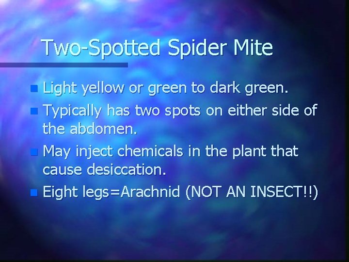 Two-Spotted Spider Mite Light yellow or green to dark green. n Typically has two