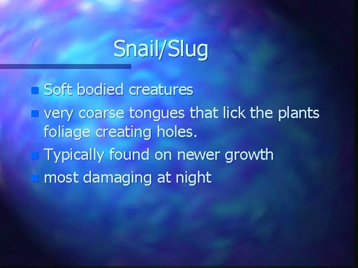 Snail/Slug Soft bodied creatures n very coarse tongues that lick the plants foliage creating