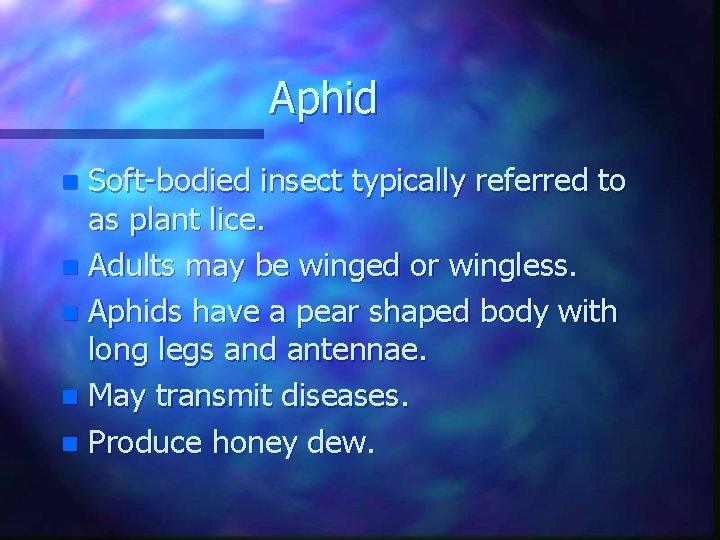Aphid Soft-bodied insect typically referred to as plant lice. n Adults may be winged