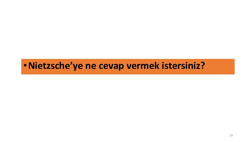  • Nietzsche’ye ne cevap vermek istersiniz? 14 