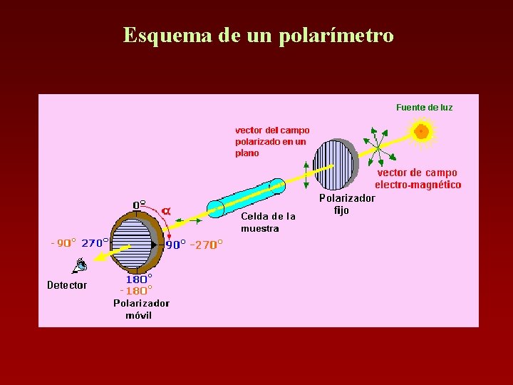 Esquema de un polarímetro 
