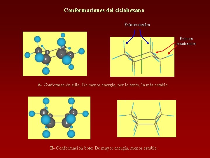 Conformaciones del ciclohexano Enlaces axiales Enlaces ecuatoriales A- Conformación silla: De menor energía, por