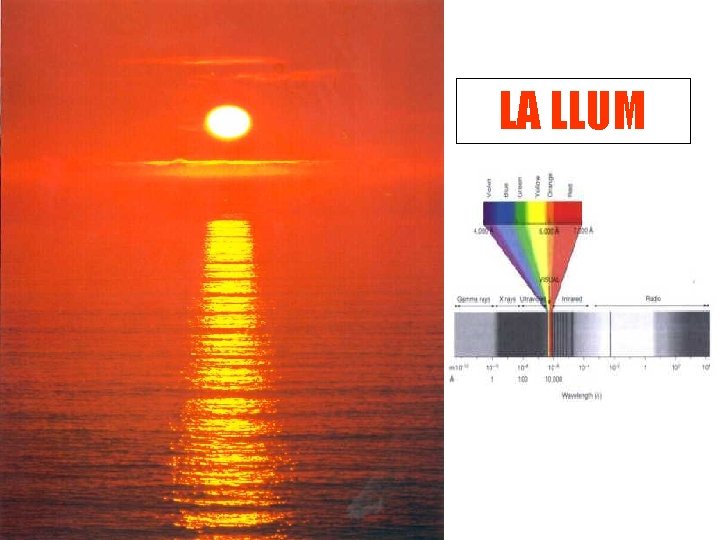 LA LLUM 