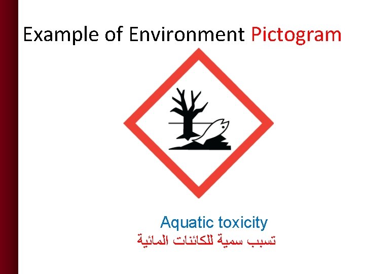 Example of Environment Pictogram Aquatic toxicity ﺗﺴﺒﺐ ﺳﻤﻴﺔ ﻟﻠﻜﺎﺋﻨﺎﺕ ﺍﻟﻤﺎﺋﻴﺔ  Example of Environment Pictogram Aquatic toxicity ﺗﺴﺒﺐ ﺳﻤﻴﺔ ﻟﻠﻜﺎﺋﻨﺎﺕ ﺍﻟﻤﺎﺋﻴﺔ