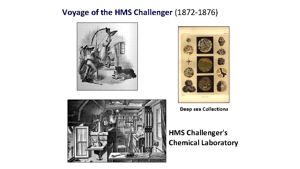 Voyage of the HMS Challenger (1872 -1876) Deep sea Collections HMS Challenger's Chemical Laboratory