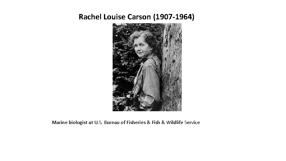 Rachel Louise Carson (1907 -1964) Marine biologist at U. S. Bureau of Fisheries &