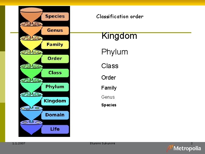 Classification order Kingdom Phylum Class Order Family Genus Species 1. 1. 2007 Etunimi Sukunimi