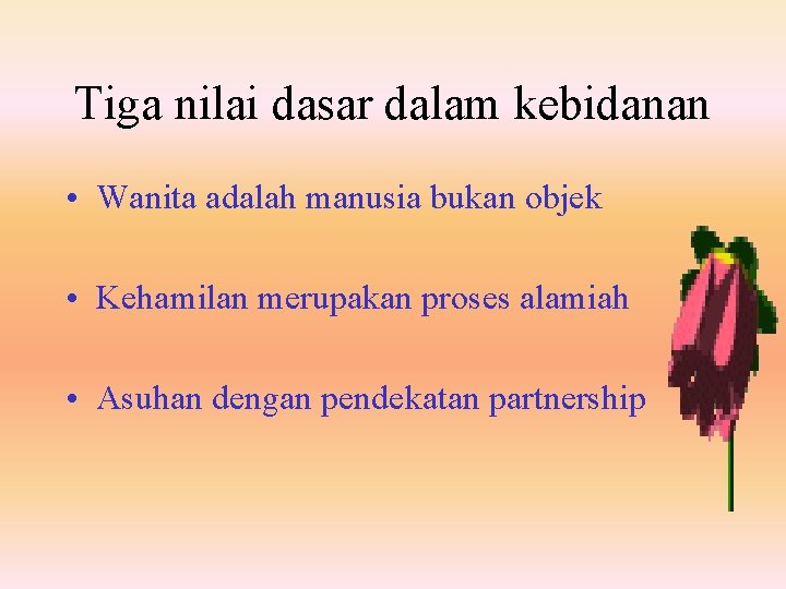 Tiga nilai dasar dalam kebidanan • Wanita adalah manusia bukan objek • Kehamilan merupakan