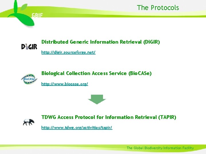 The Protocols Distributed Generic Information Retrieval (Di. GIR) http: //digir. sourceforge. net/ Biological Collection