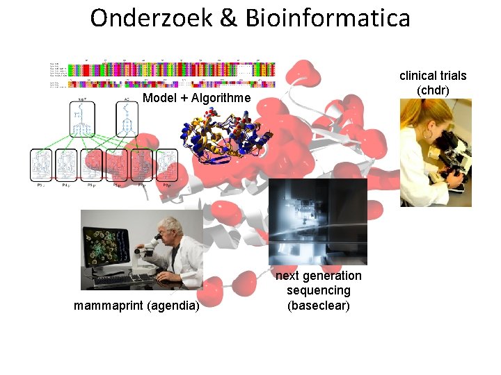 Onderzoek & Bioinformatica clinical trials (chdr) Model + Algorithme mammaprint (agendia) next generation sequencing