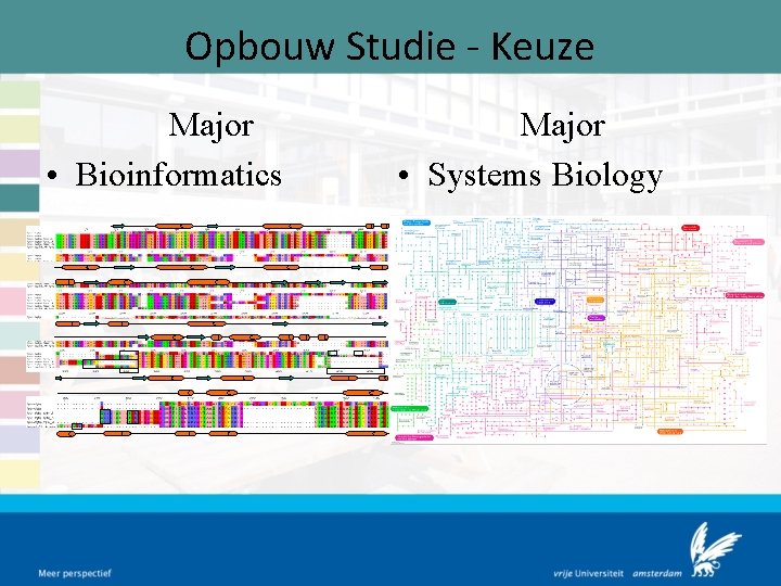 Opbouw Studie - Keuze Major • Bioinformatics Major • Systems Biology 