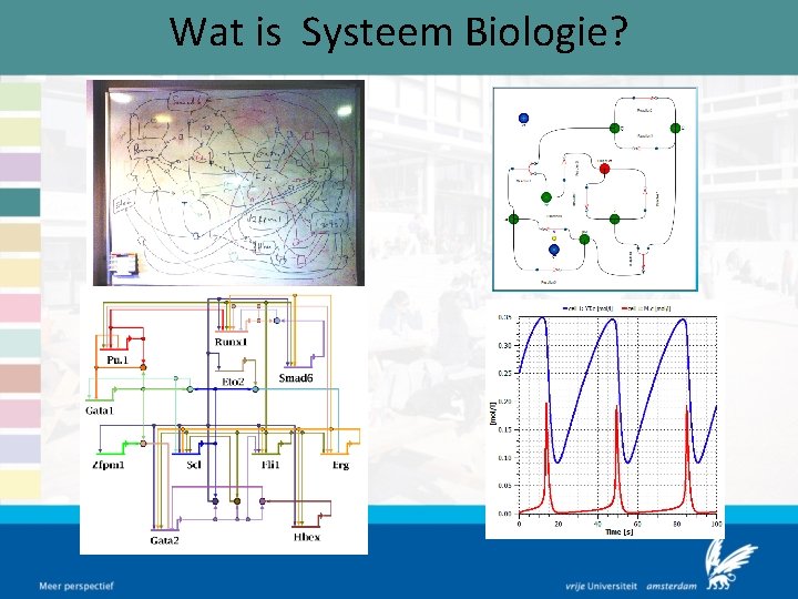 Wat is Systeem Biologie? 