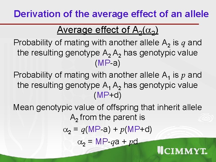 Derivation of the average effect of an allele Average effect of A 2( 2)