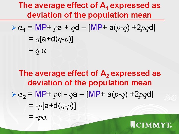 The average effect of A 1 expressed as deviation of the population mean Ø