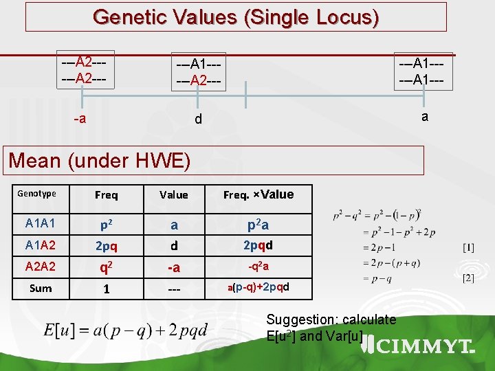 Genetic Values (Single Locus) ---A 2 --- ---A 1 -----A 2 --- ---A 1