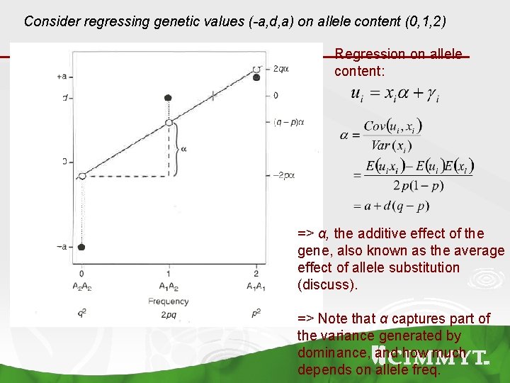 Consider regressing genetic values (-a, d, a) on allele content (0, 1, 2) Regression