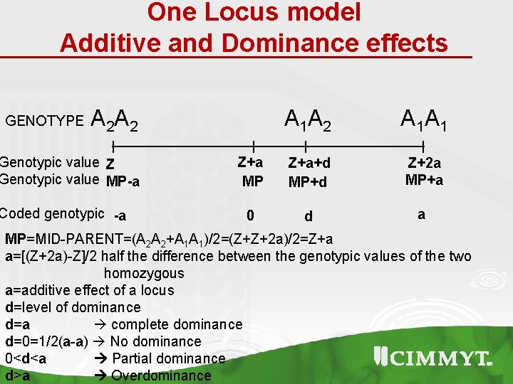 One Locus model Additive and Dominance effects GENOTYPE A 2 A 2 Genotypic value