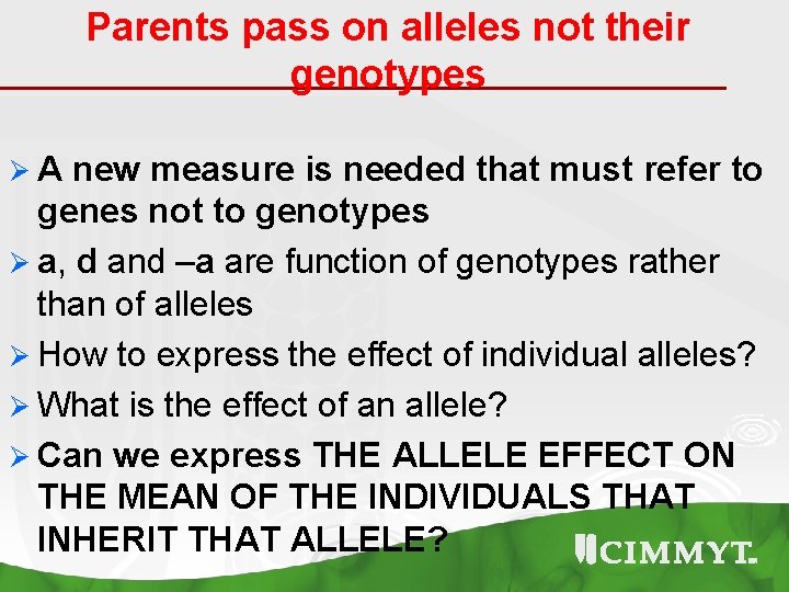 Parents pass on alleles not their genotypes ØA new measure is needed that must