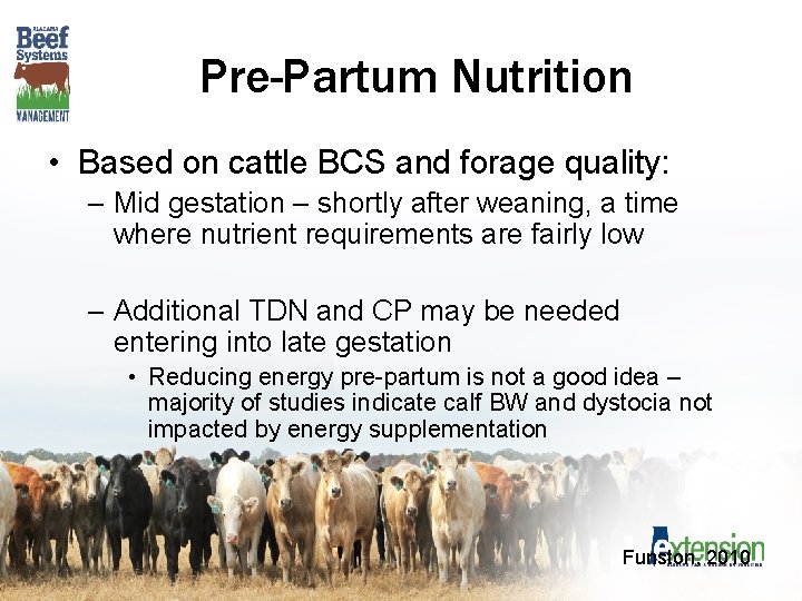 Pre-Partum Nutrition • Based on cattle BCS and forage quality: – Mid gestation –