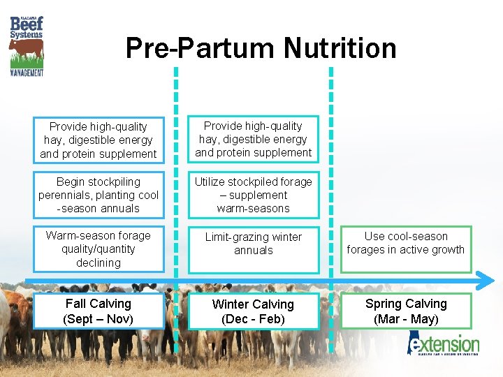 Pre-Partum Nutrition Provide high-quality hay, digestible energy and protein supplement Begin stockpiling perennials, planting