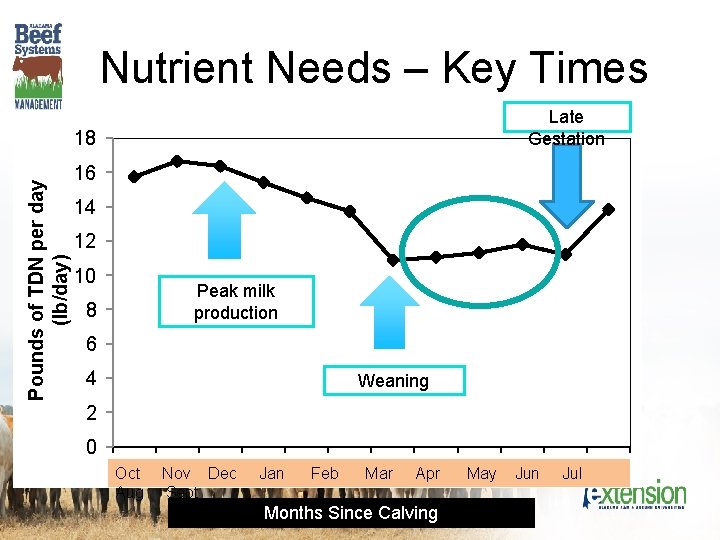 Nutrient Needs – Key Times Late Gestation Pounds of TDN per day (lb/day) 18