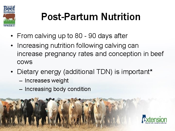 Post-Partum Nutrition • From calving up to 80 - 90 days after • Increasing