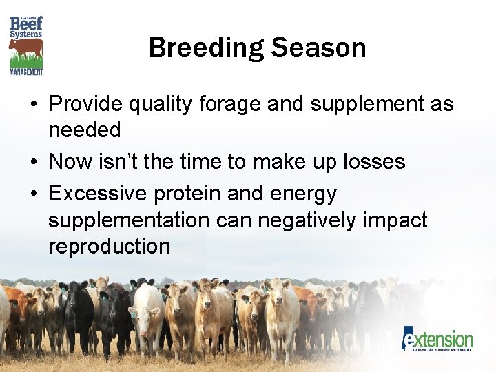 Breeding Season • Provide quality forage and supplement as needed • Now isn’t the