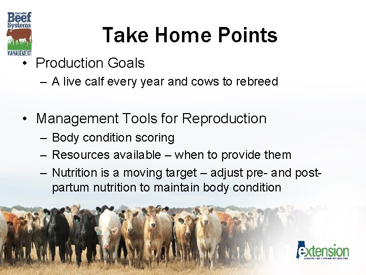 Take Home Points • Production Goals – A live calf every year and cows