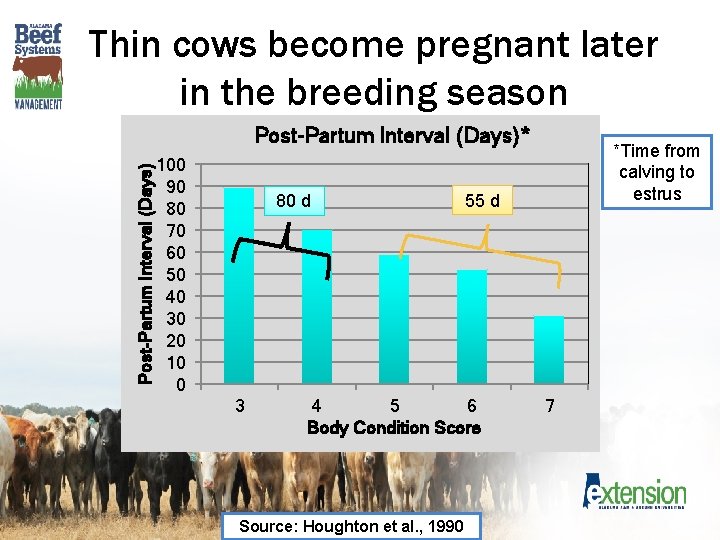 Thin cows become pregnant later in the breeding season Post-Partum Interval (Days)* 100 90