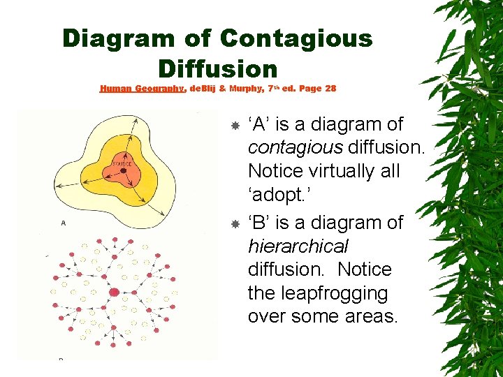 Diagram of Contagious Diffusion Human Geography, de. Blij & Murphy, 7 th ed. Page