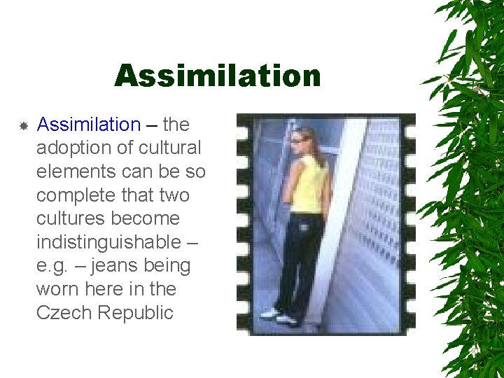 Assimilation – the adoption of cultural elements can be so complete that two cultures