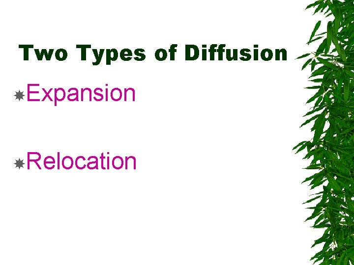 Two Types of Diffusion Expansion Relocation 