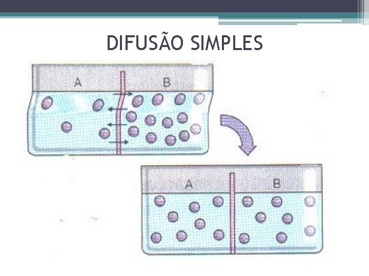 DIFUSÃO SIMPLES 