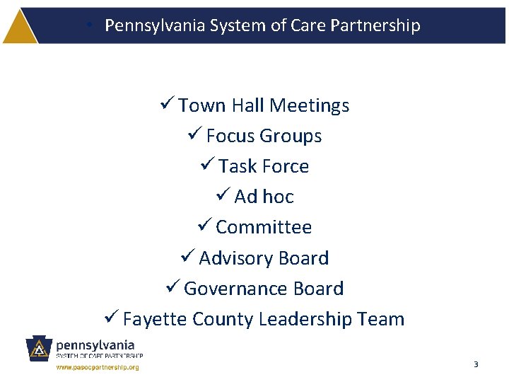  • Pennsylvania System of Care Partnership ü Town Hall Meetings ü Focus Groups