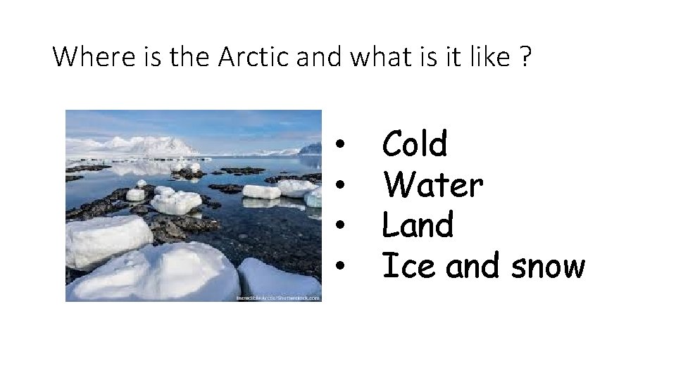 Where is the Arctic and what is it like ? • • Cold Water