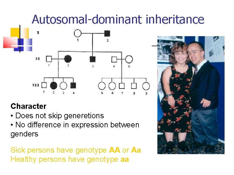 Autosomal-dominant inheritance Character • Does not skip generetions • No difference in expression between