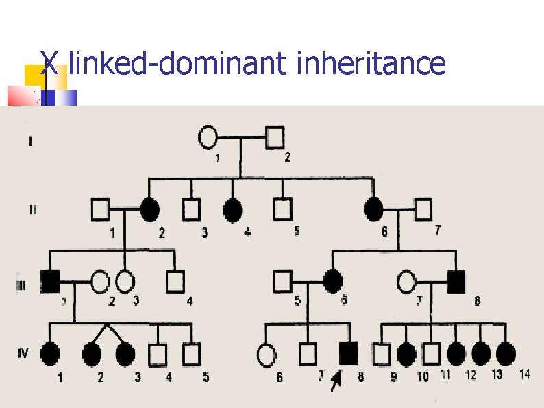 X linked-dominant inheritance 