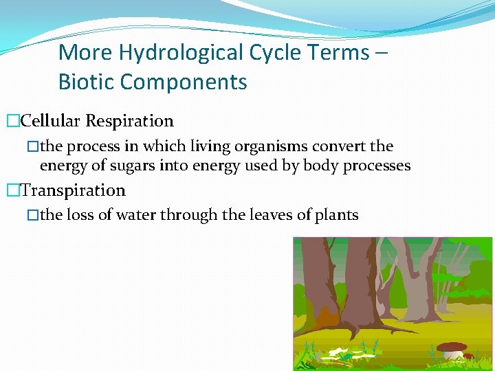 More Hydrological Cycle Terms – Biotic Components �Cellular Respiration �the process in which living