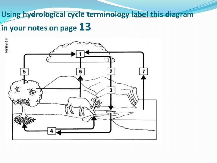Using hydrological cycle terminology label this diagram in your notes on page 13 