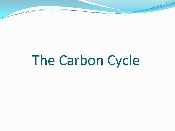 The Carbon Cycle 