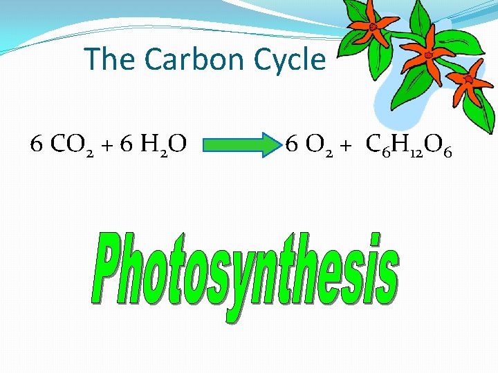 The Carbon Cycle 6 CO 2 + 6 H 2 O 6 O 2