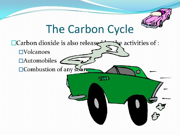 The Carbon Cycle �Carbon dioxide is also released by the activities of : �Volcanoes