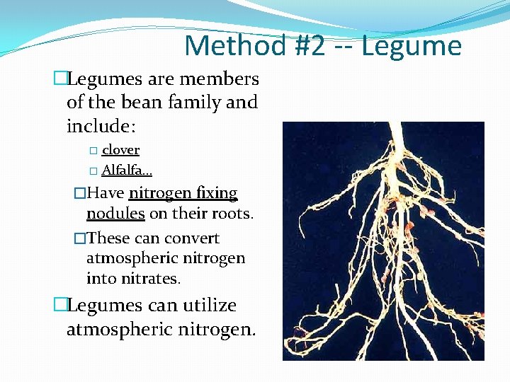Method #2 -- Legume �Legumes are members of the bean family and include: clover