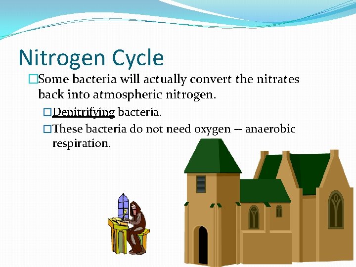 Nitrogen Cycle �Some bacteria will actually convert the nitrates back into atmospheric nitrogen. �Denitrifying