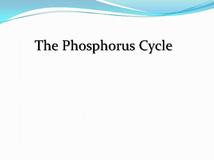 The Phosphorus Cycle 
