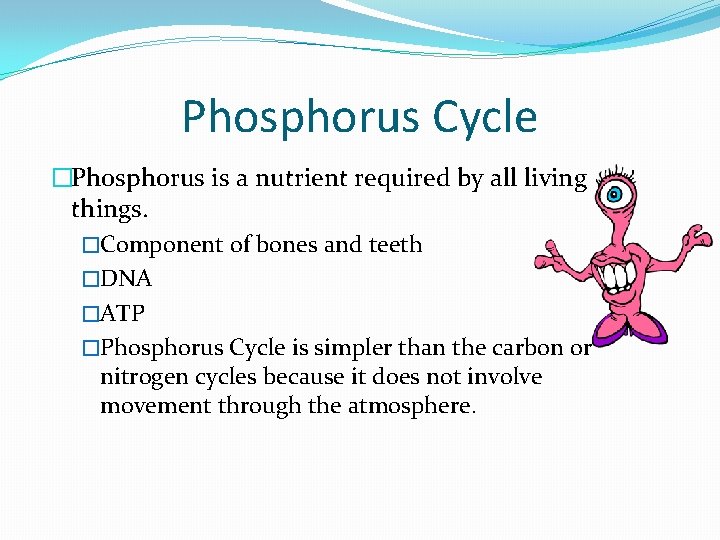 Phosphorus Cycle �Phosphorus is a nutrient required by all living things. �Component of bones