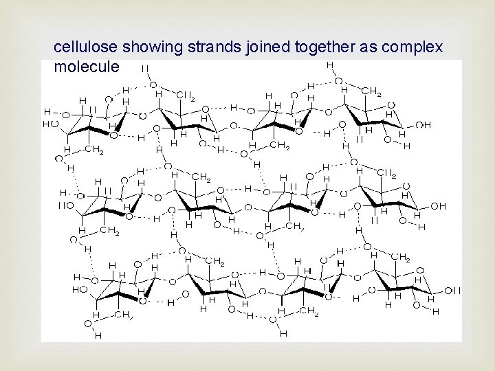 cellulose showing strands joined together as complex molecule 