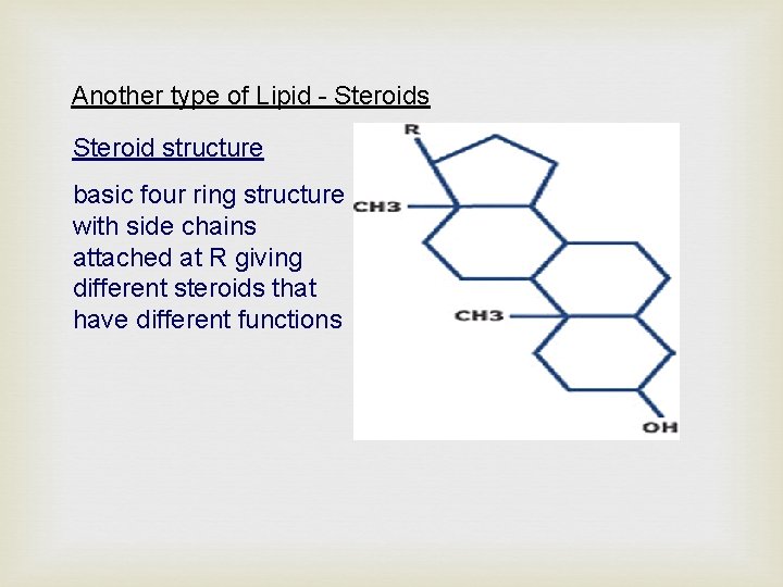 Another type of Lipid - Steroids Steroid structure basic four ring structure with side