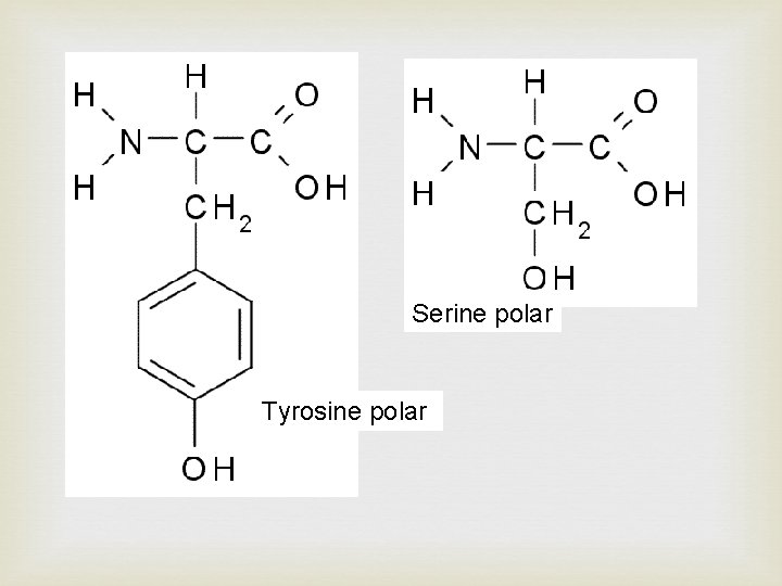 Serine polar Tyrosine polar 